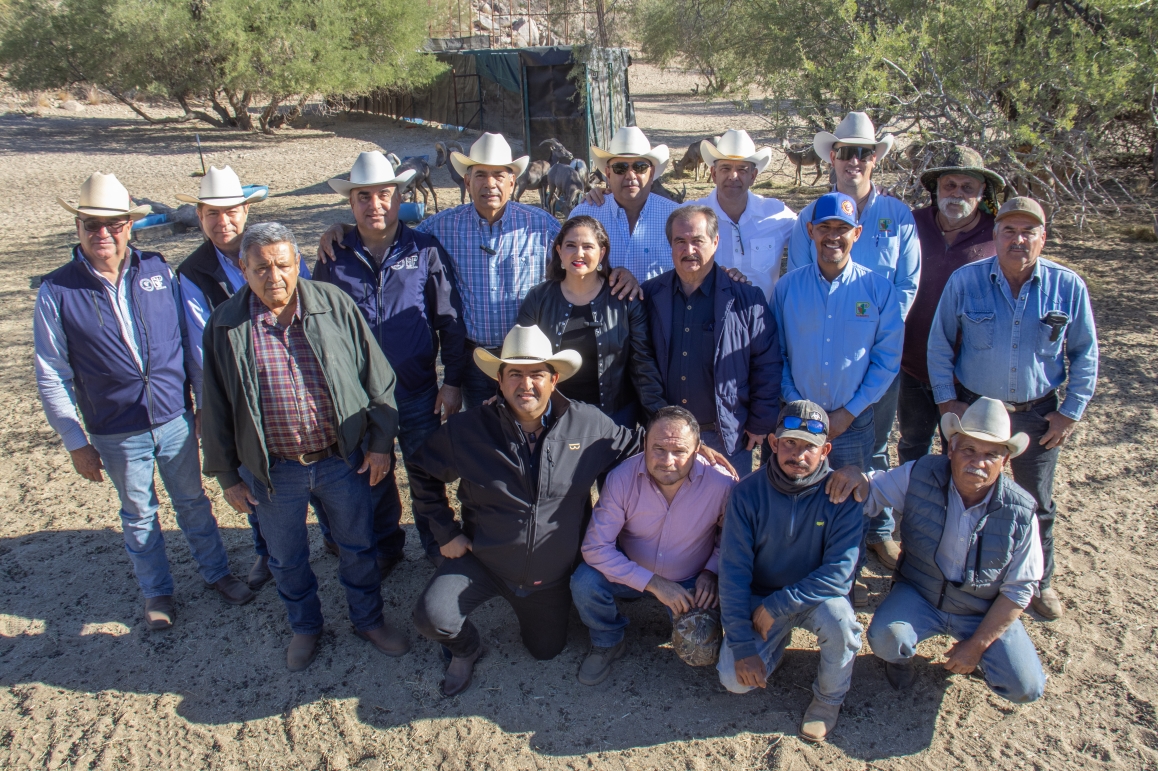 Contribuye Gobierno de Sonora a recuperación del borrego cimarrón con liberación de 20 animales: Celida López